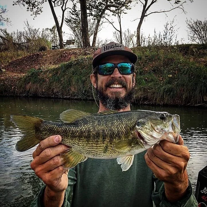 Man with sunglasses and cap holding a large fish, standing near a river with trees in the background.