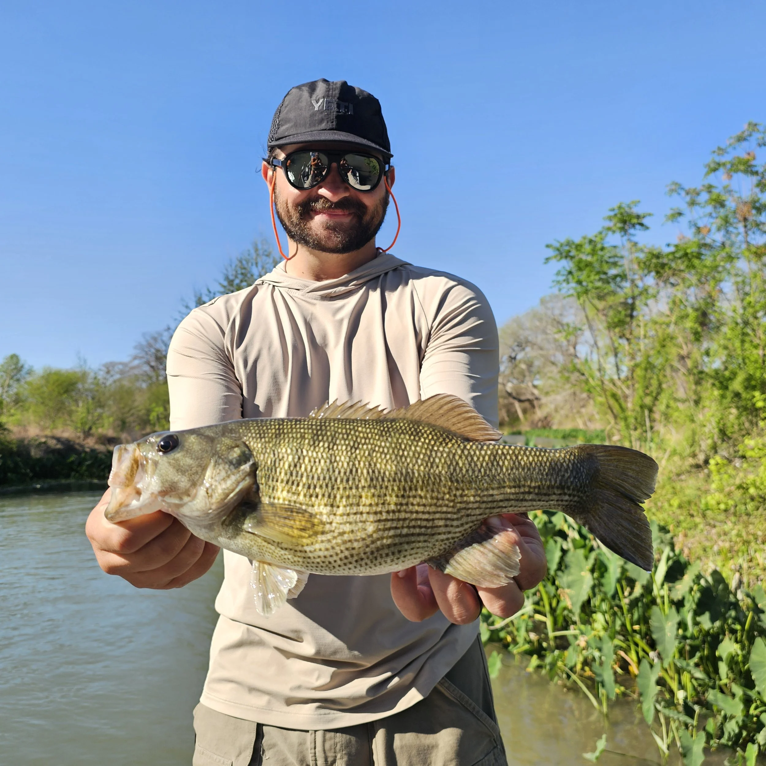 Guadalupe bass on the San Marcos river