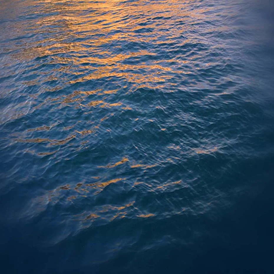 July_2013_004.jpg