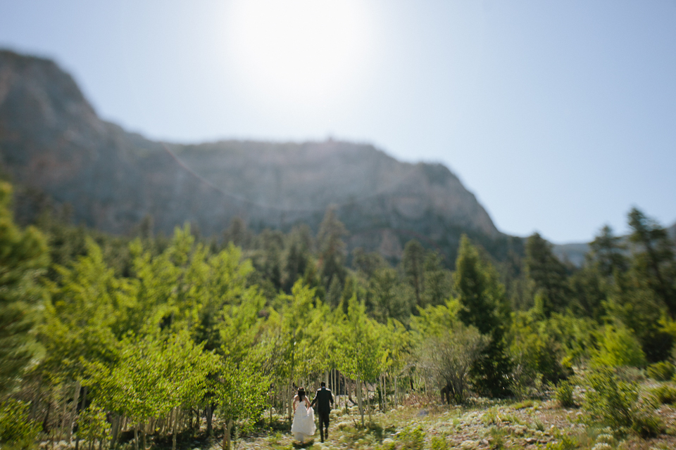 Mt Charleston wedding photography-1047.jpg