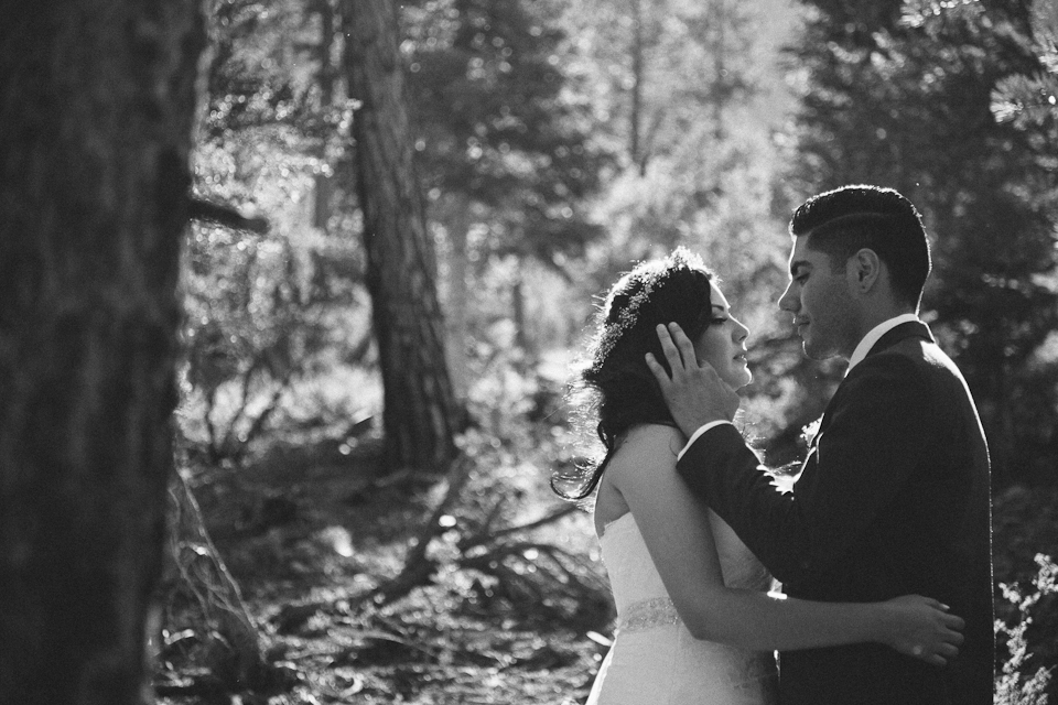 Mt Charleston wedding photography-1061.jpg