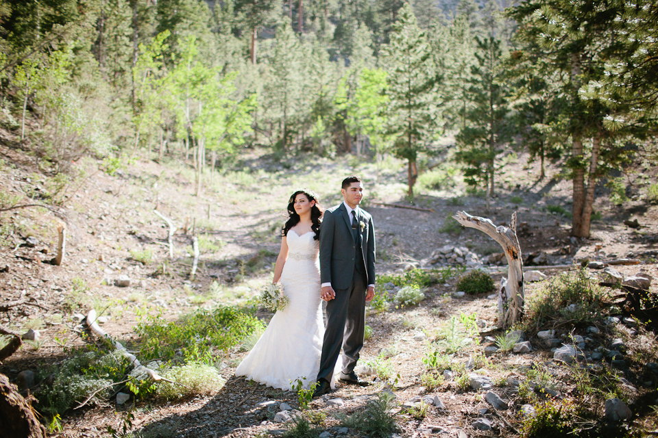 mt charleston wedding photography