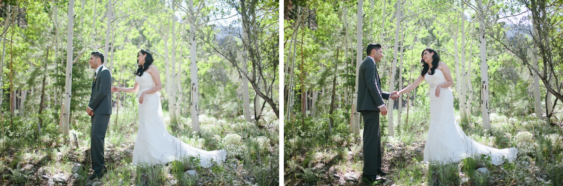 Mt Charleston wedding photography-4.jpg