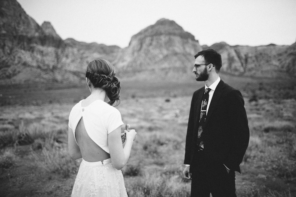 Lorraine & Trevor neon museum and desert elopement-1087.jpg