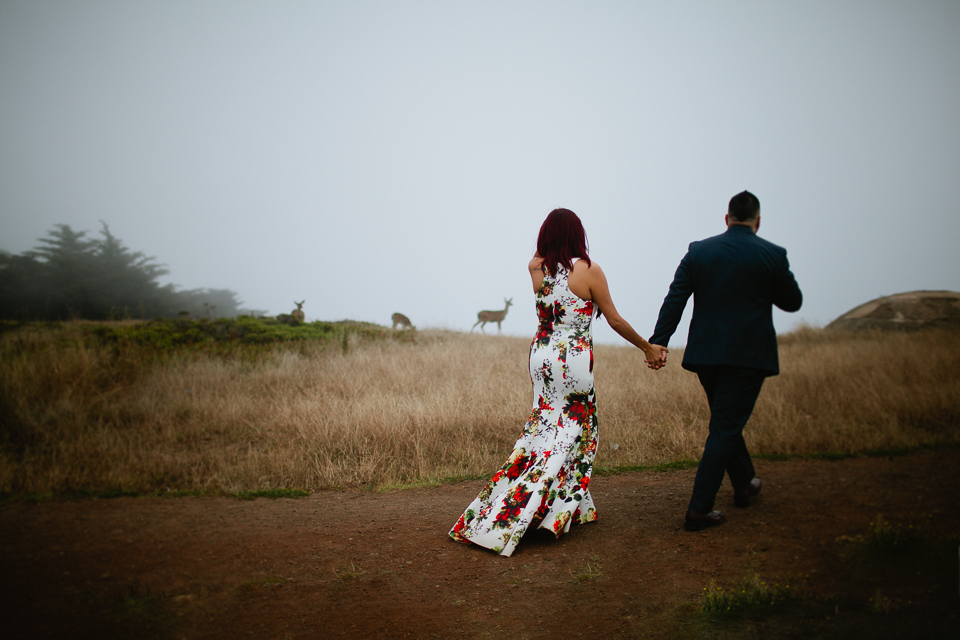 san francisco elopement  