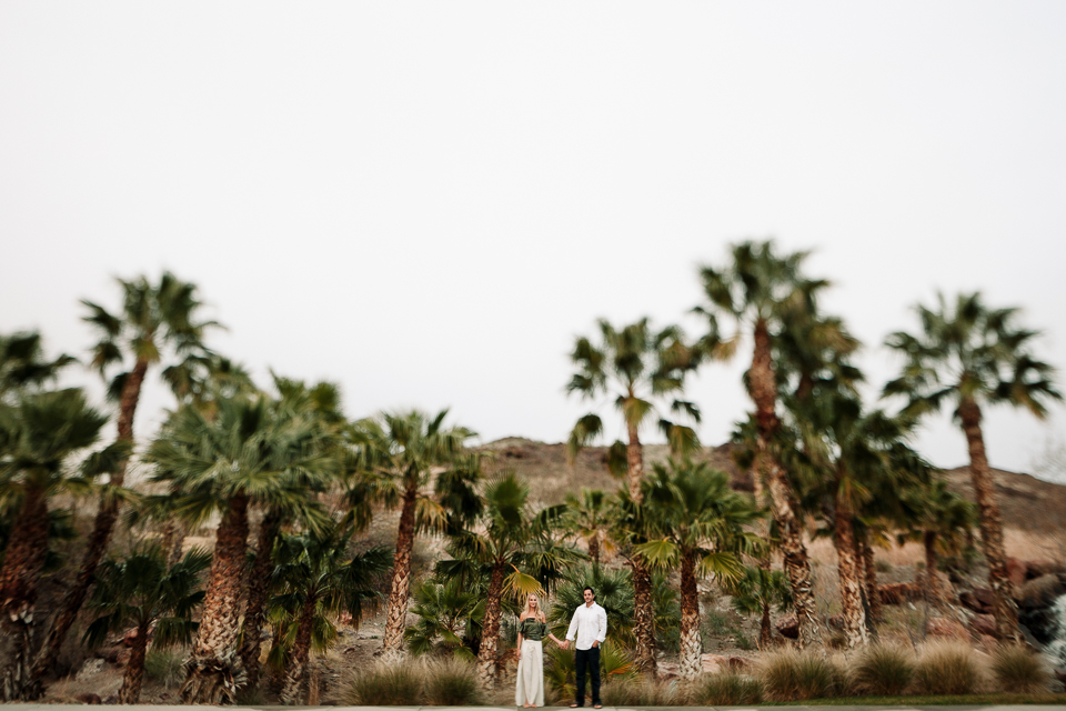 palm tree engagement