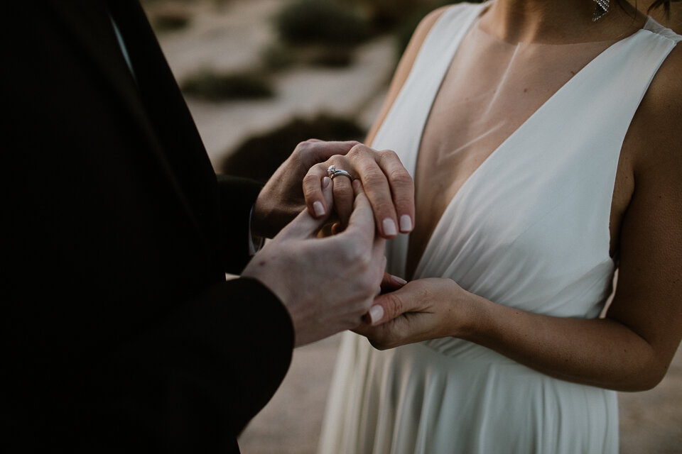 Joshua Tree Elopement-1135.jpg