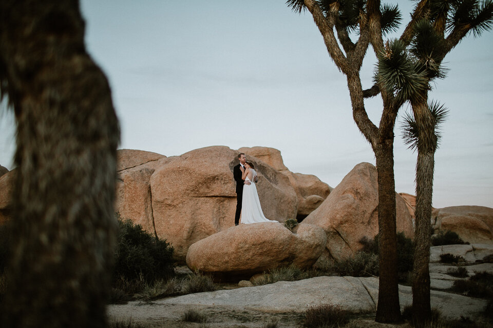 Joshua Tree Elopement-1170.jpg