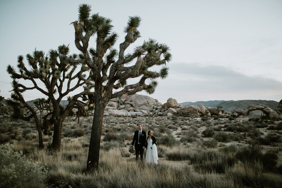 Joshua Tree Elopement-1185.jpg