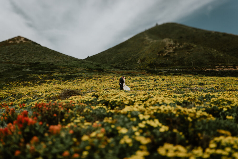 Big Sur elopement photographer-1098.jpg