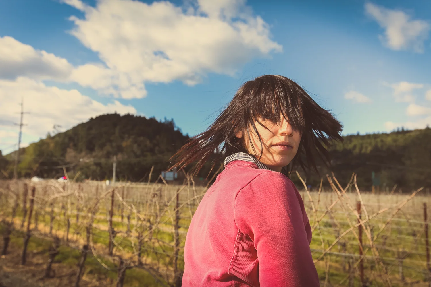 phcp_napa_0256.jpg