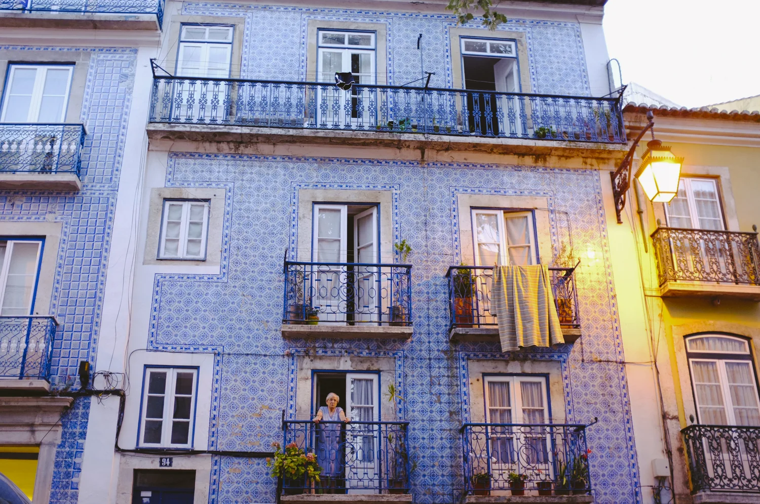 DSCF1626.jpg