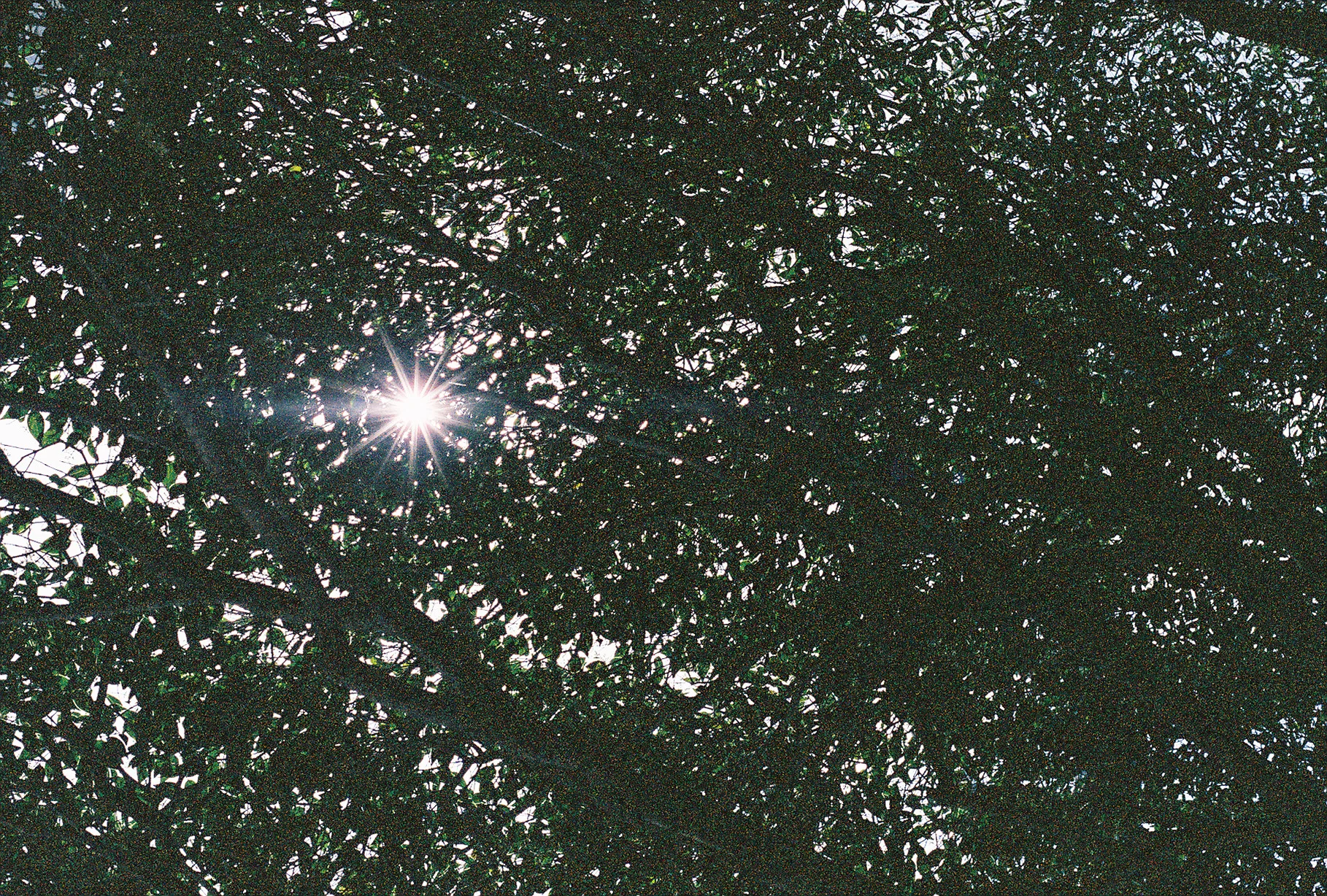 FH000006.jpg