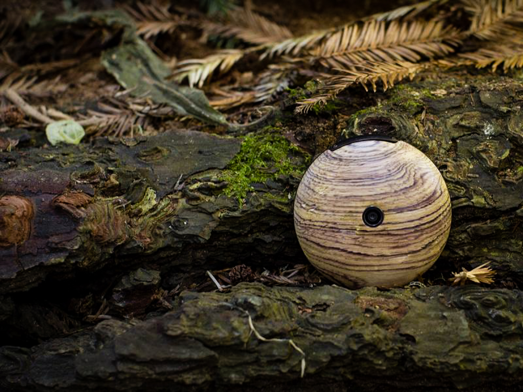 runcible_anti-smartphone_heirloom_electronic_monohm_07.jpg
