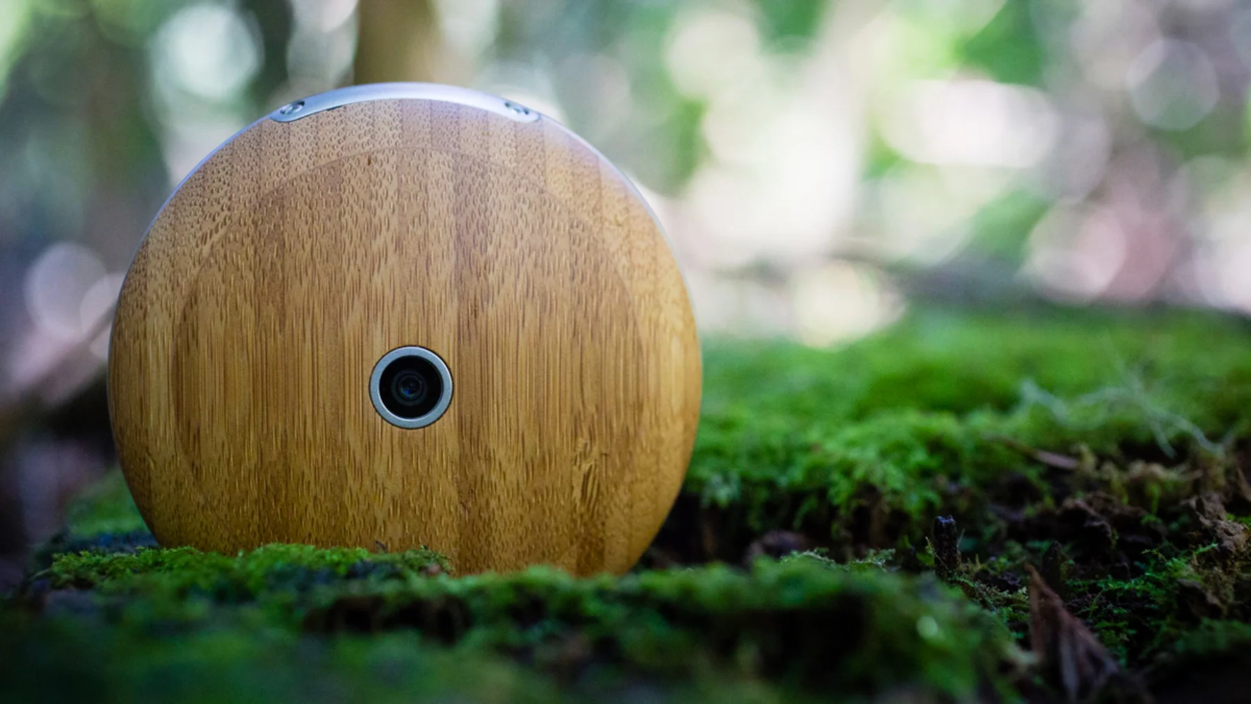 Runcible-08.jpg