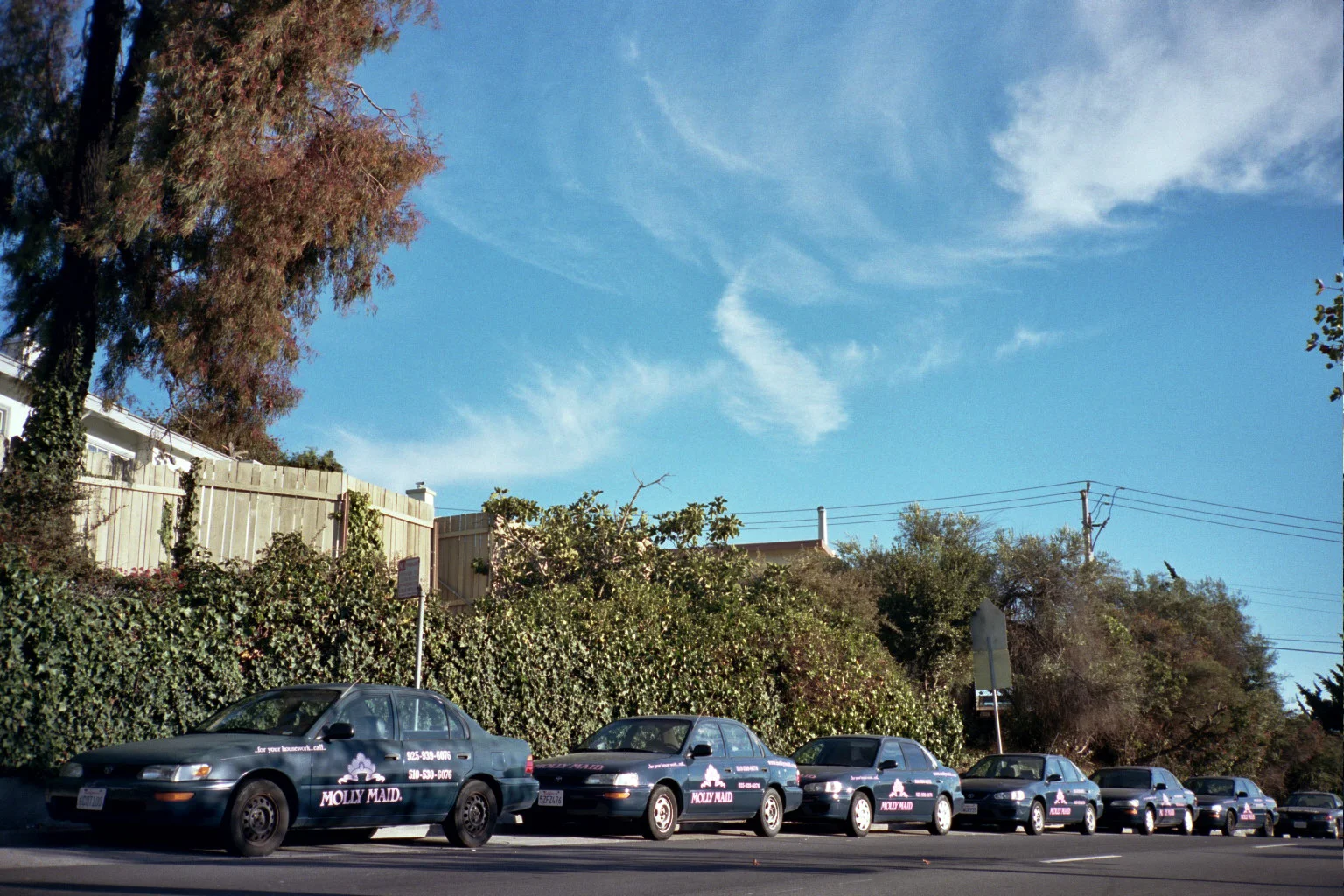_15_0498.jpg