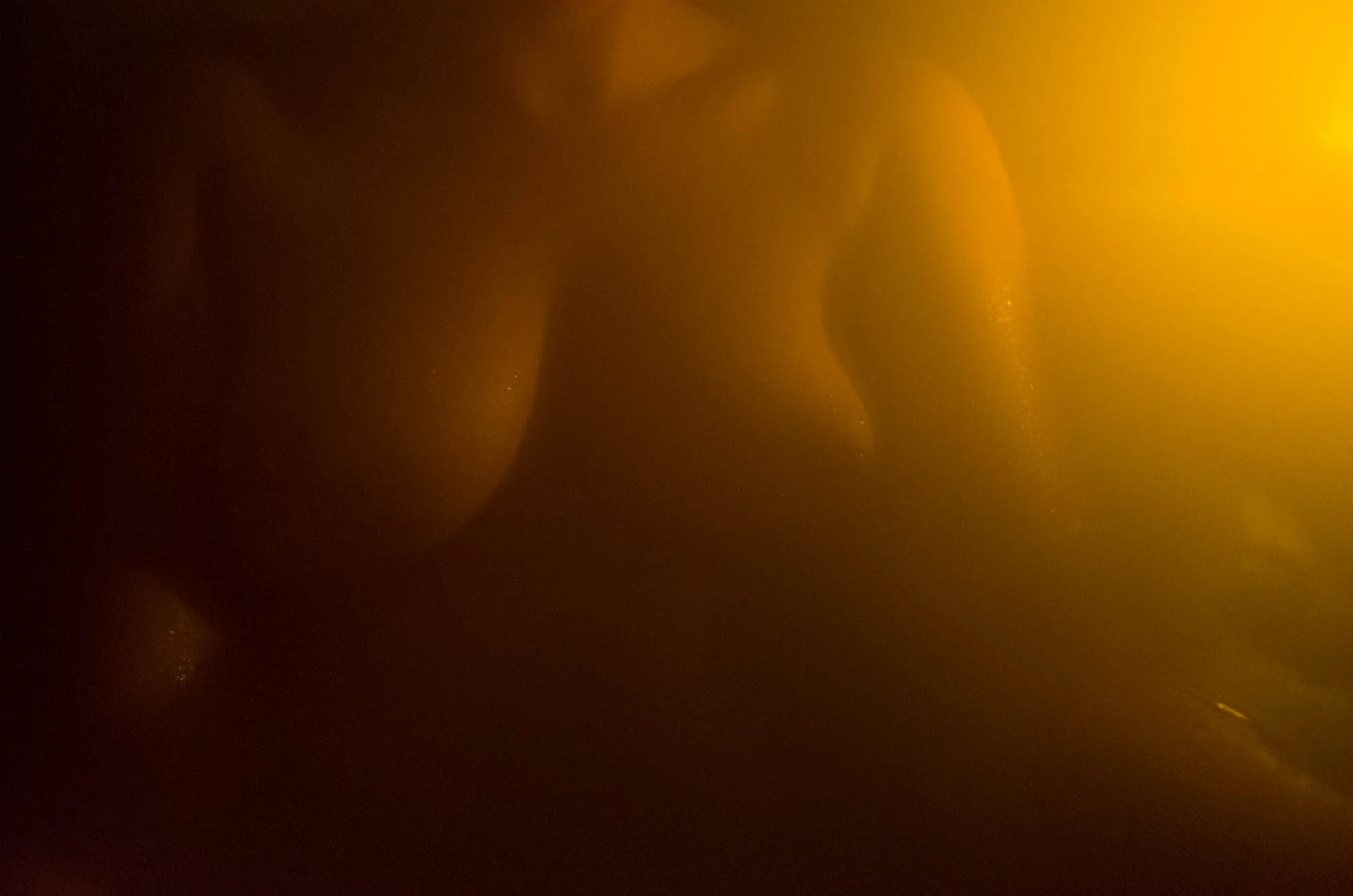 ricoh_0ct_29_7.jpg