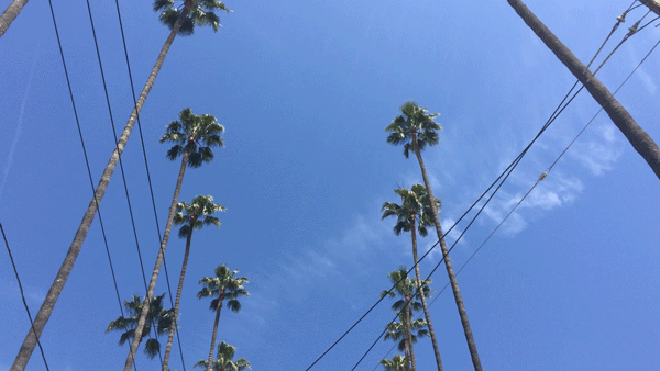 la_sm.gif