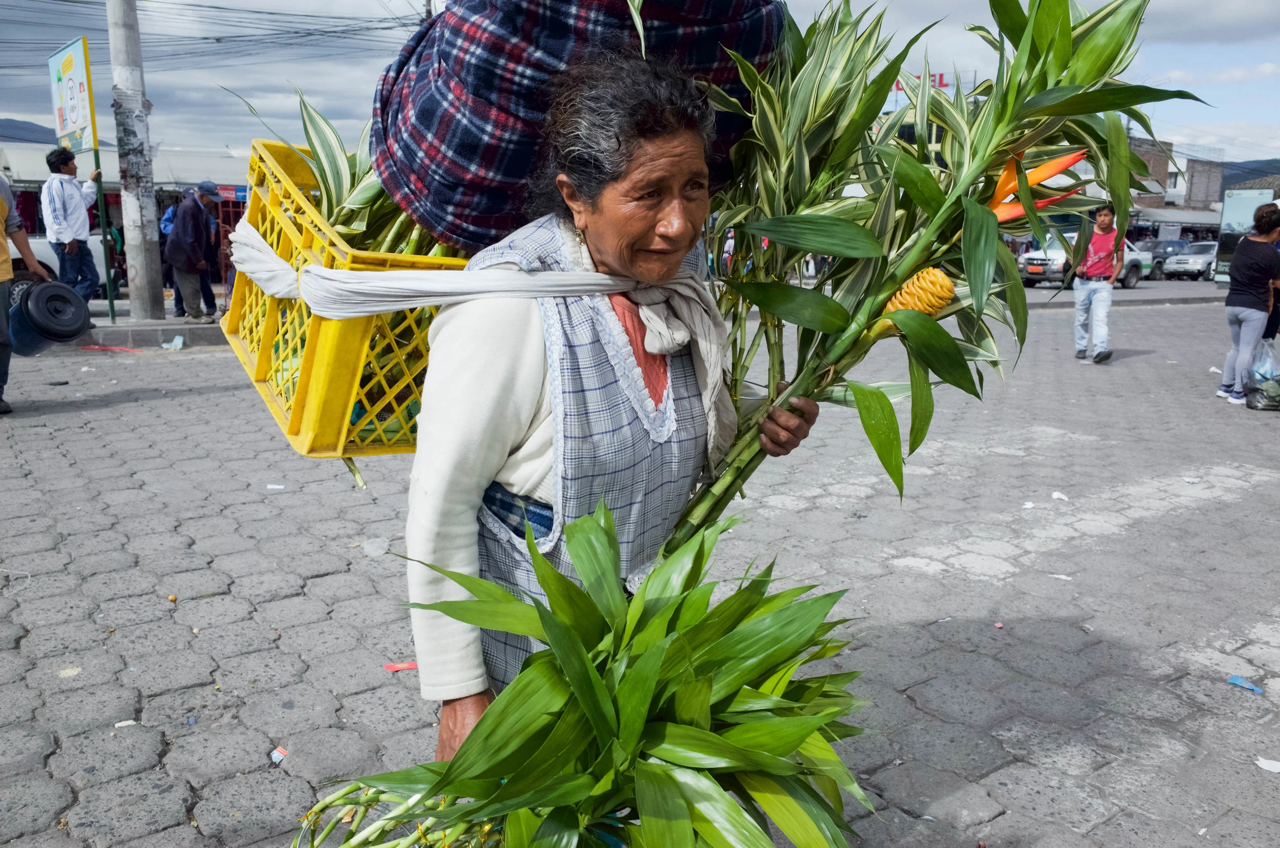 Ecuador-35.jpg