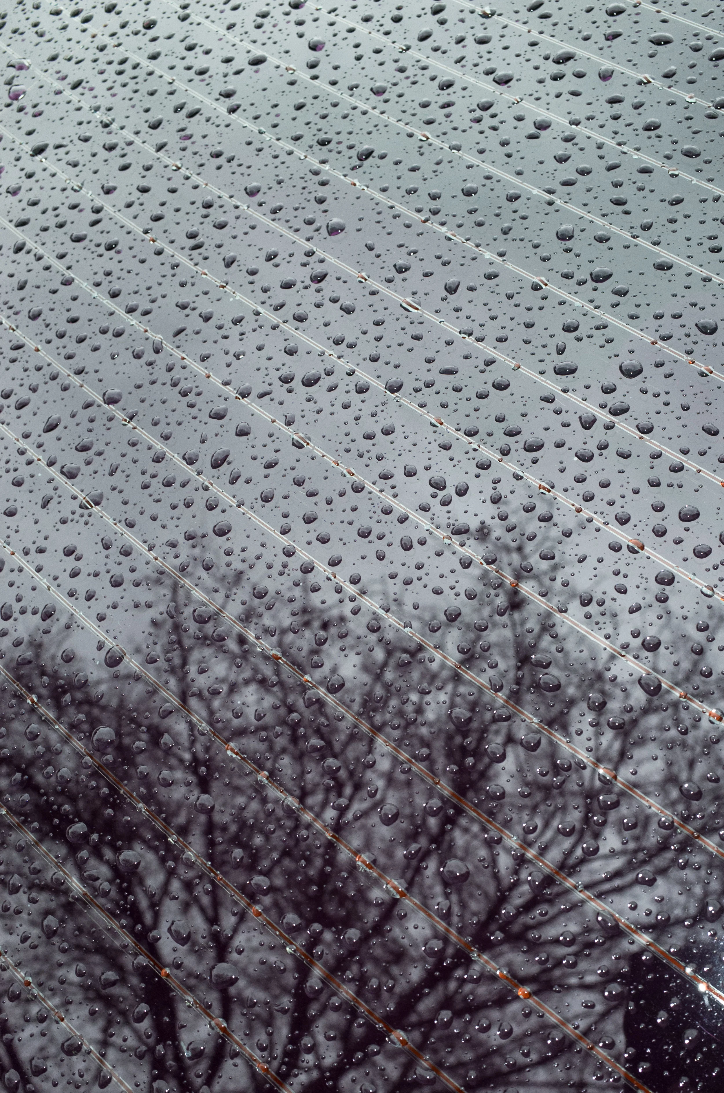 ricoh_em_-1.jpg
