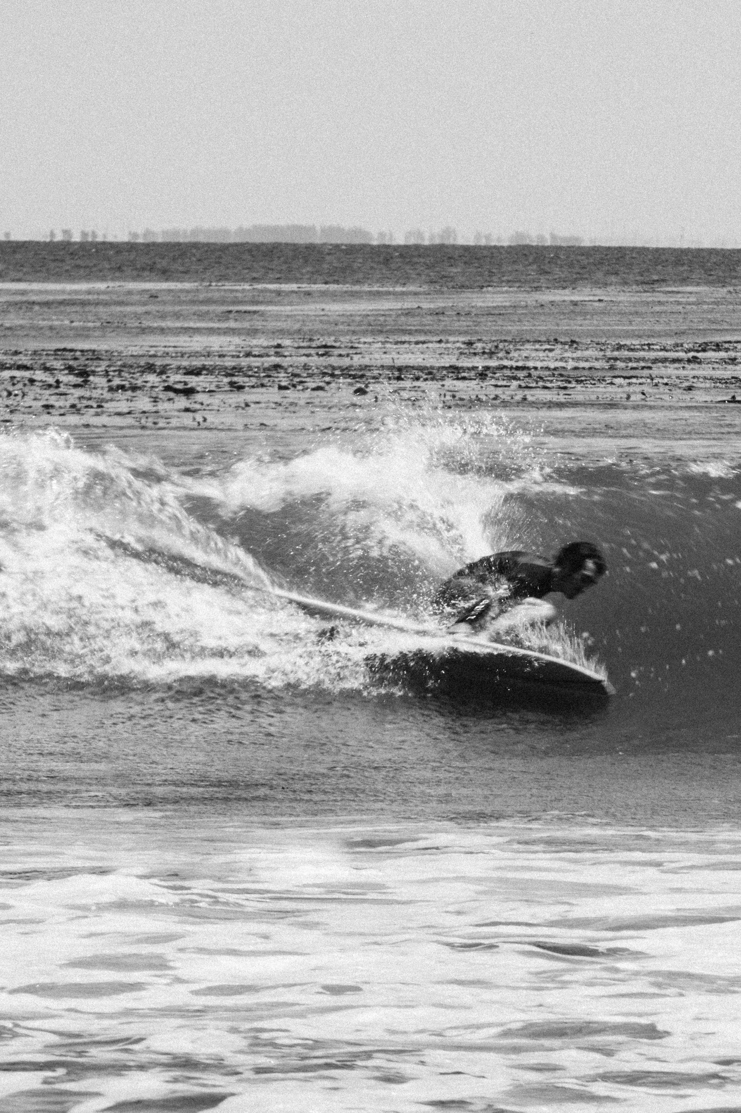 mikey_surfs_-1.jpg