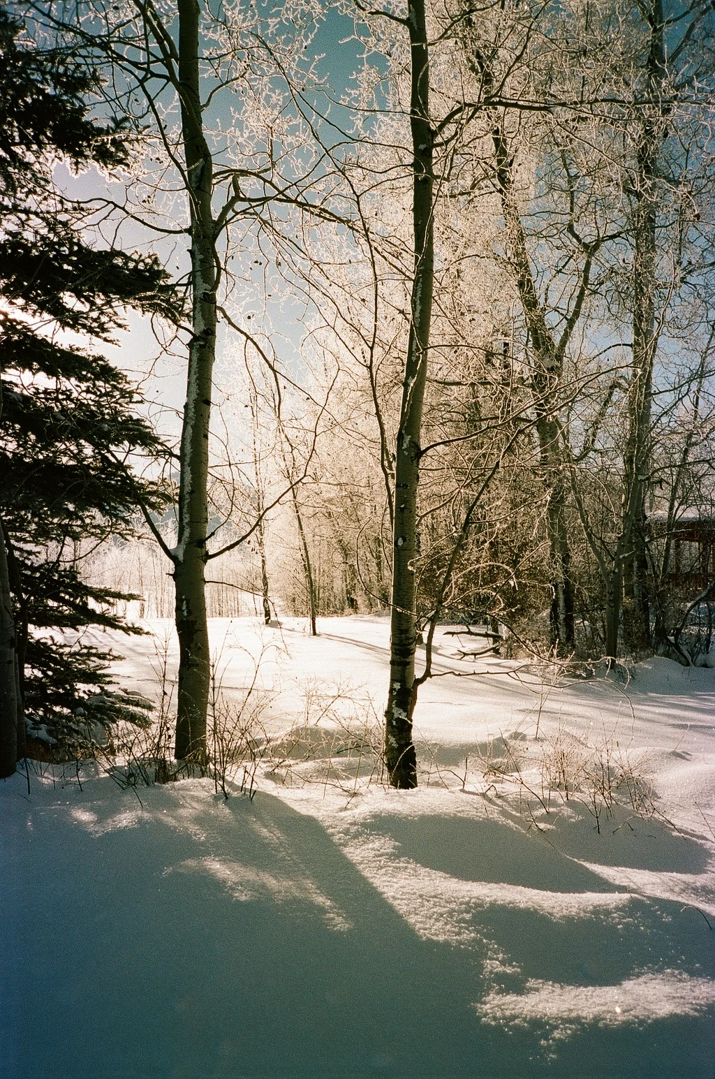0705_09.jpg