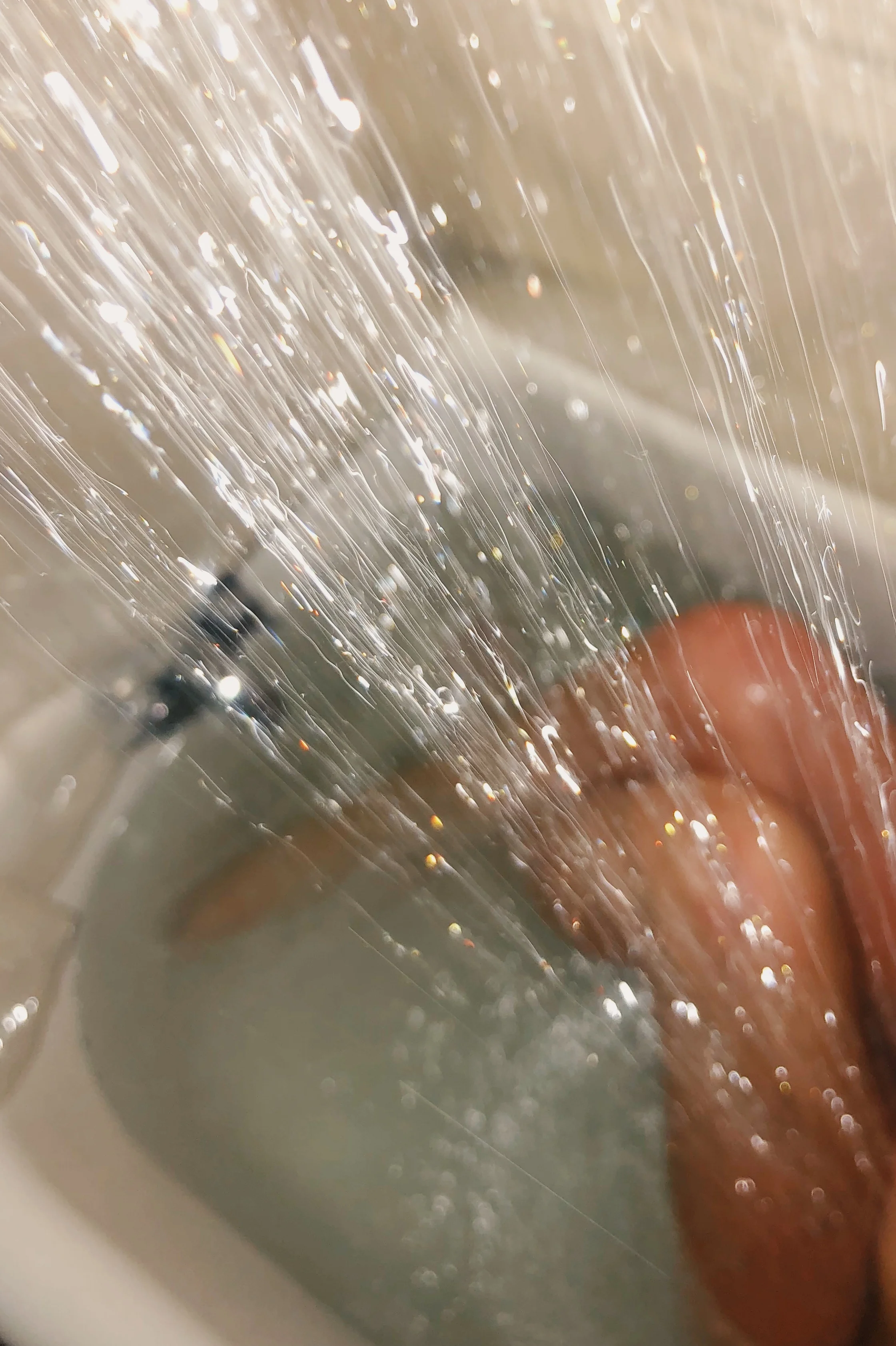 A1B3FB9E-E968-4A62-9231-72E269229268.JPG