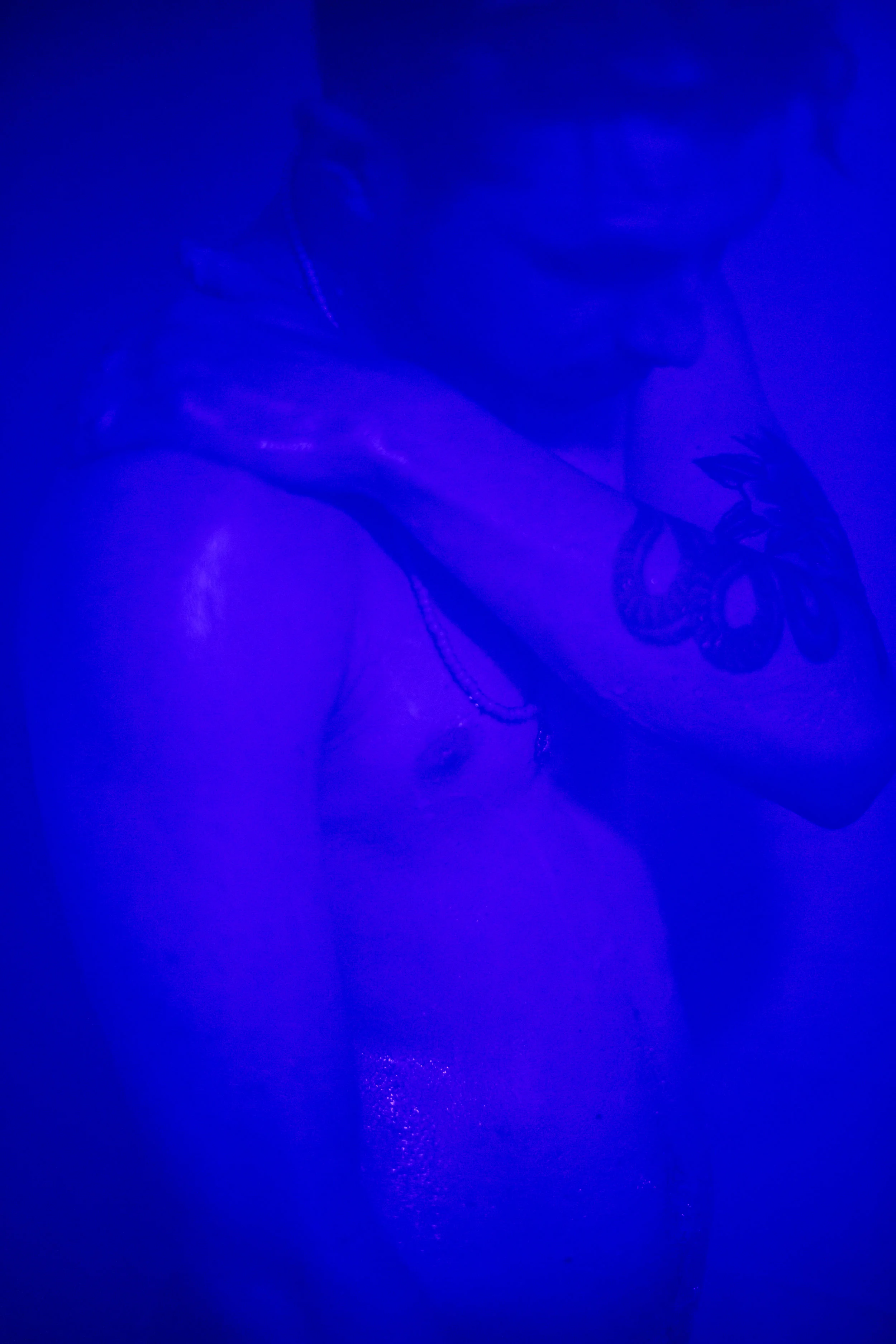 blue_br_s-8.jpg