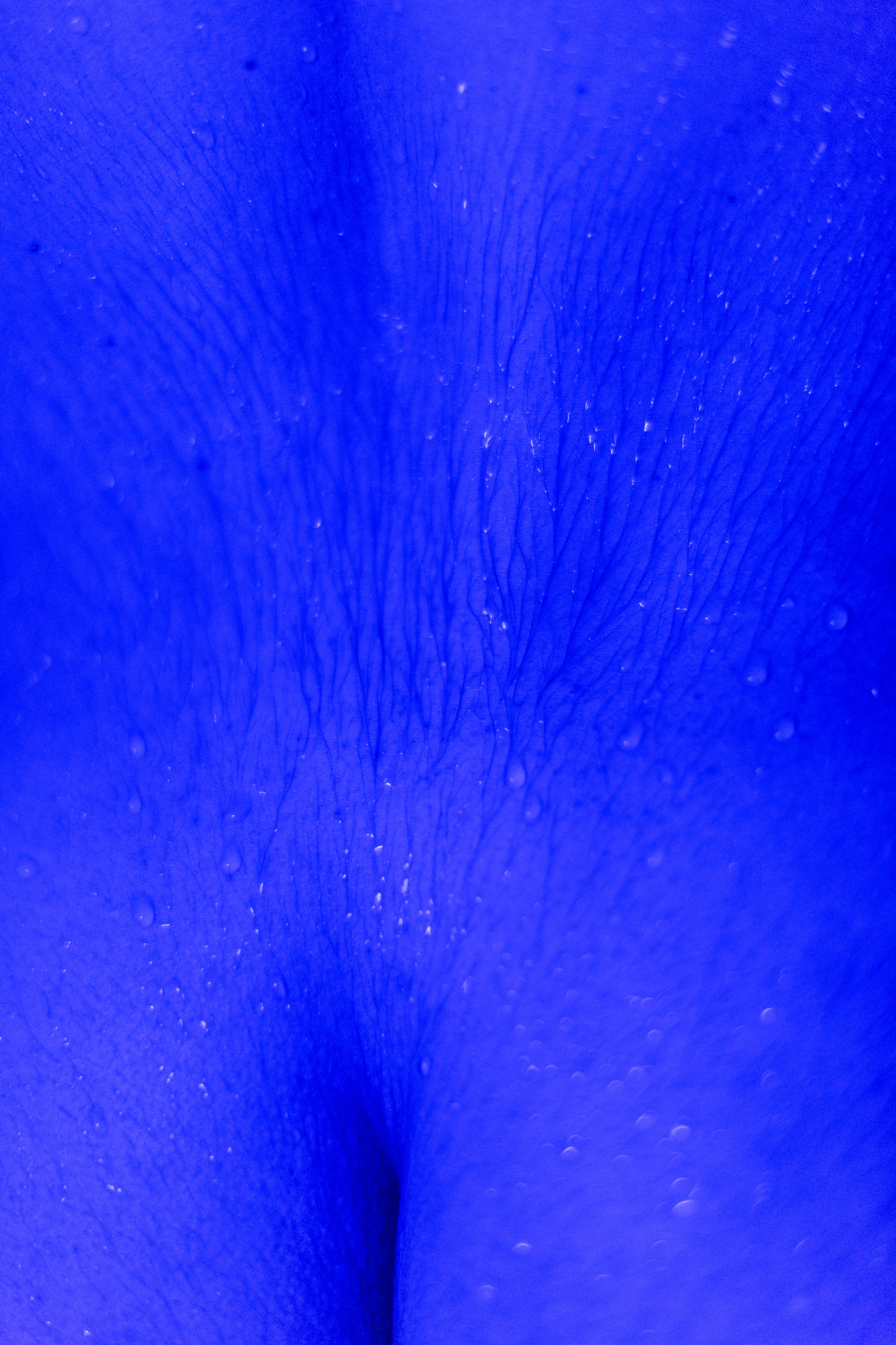 sam_b_resized-1.jpg
