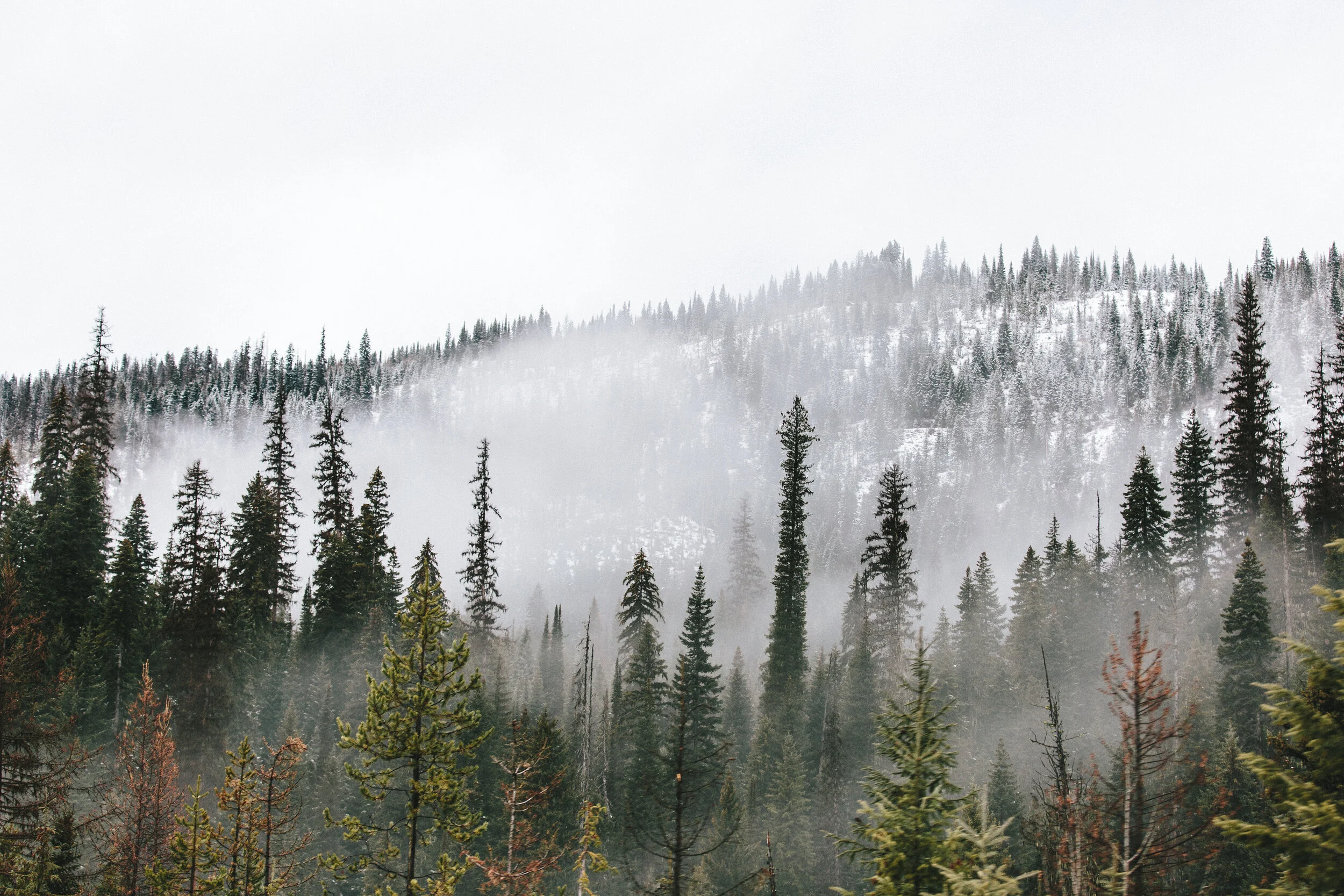 winter_ts_01-44.jpg