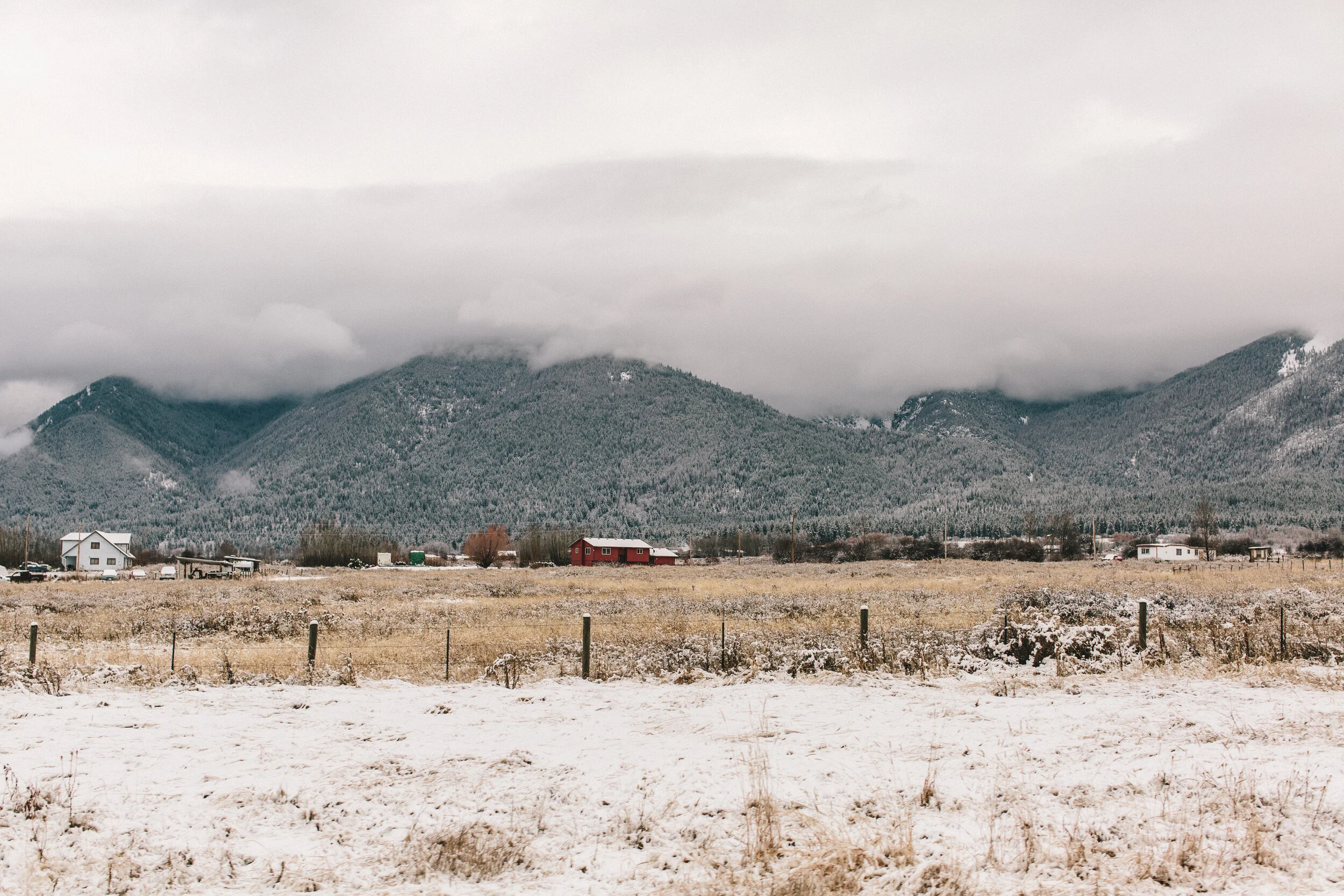 winter_ts_01-3.jpg
