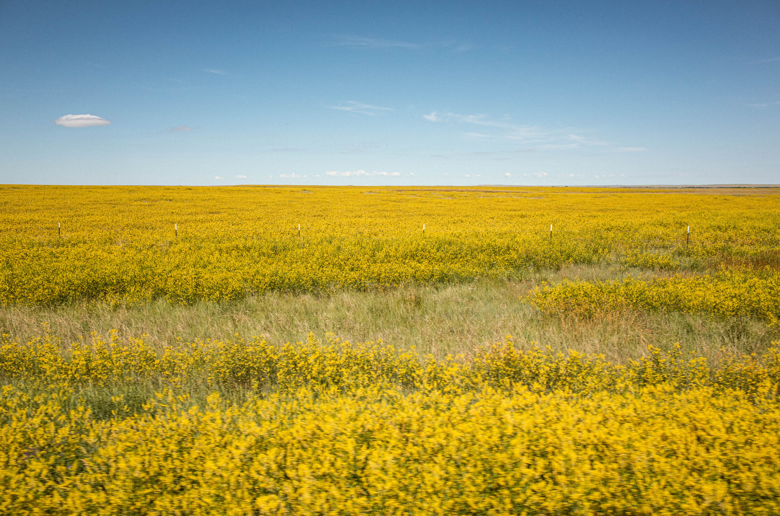 SOUTHDAKOTA-7.jpg