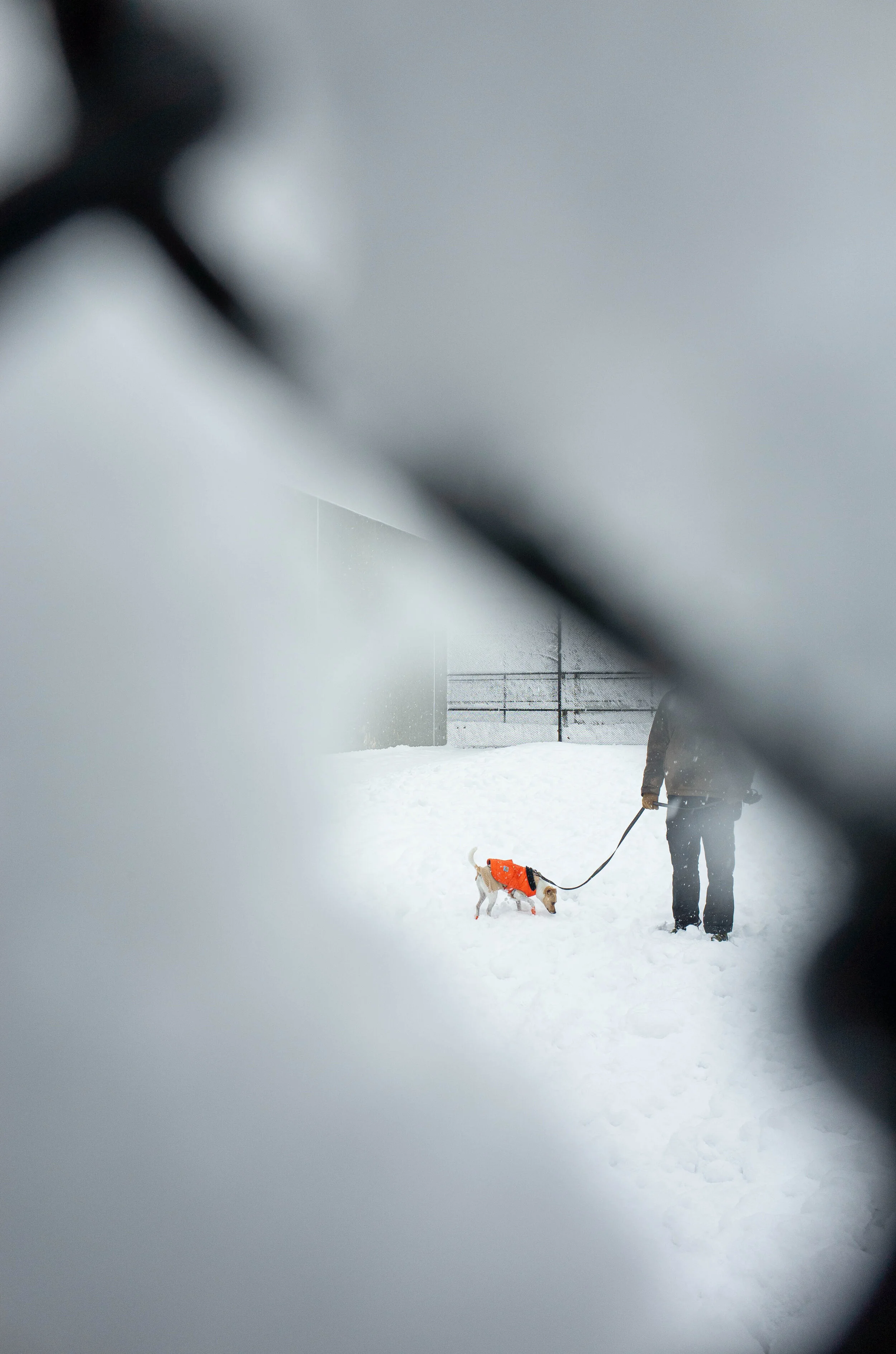 feb_07_21_snow_day_-13.jpg