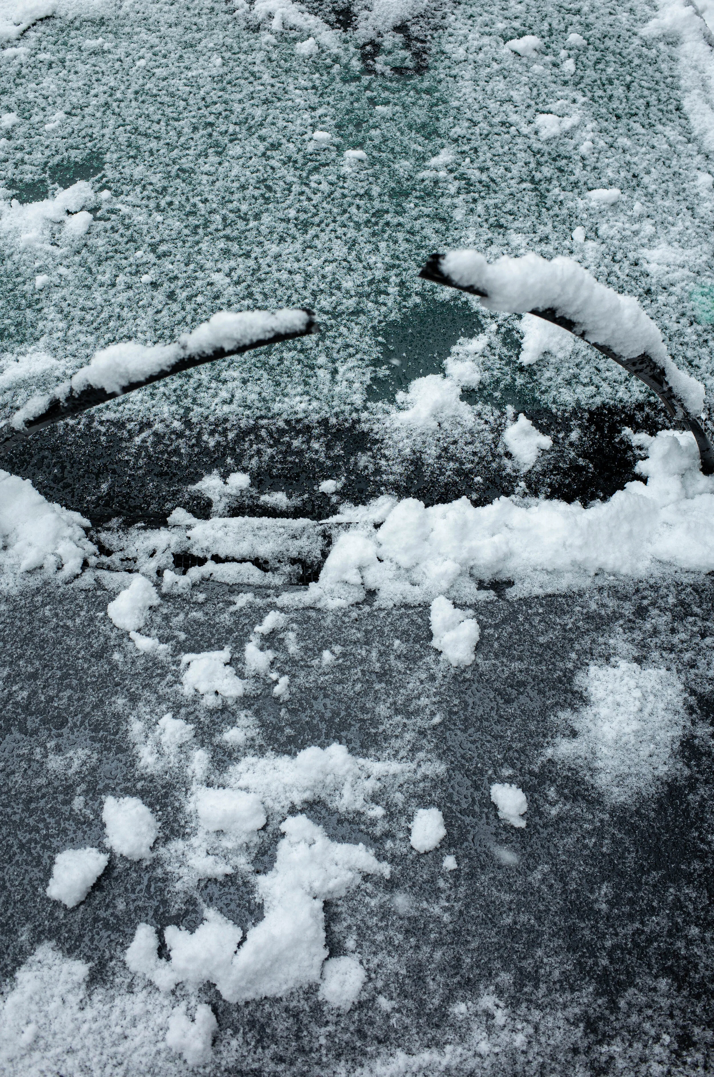 feb_07_21_snow_day_-32.jpg