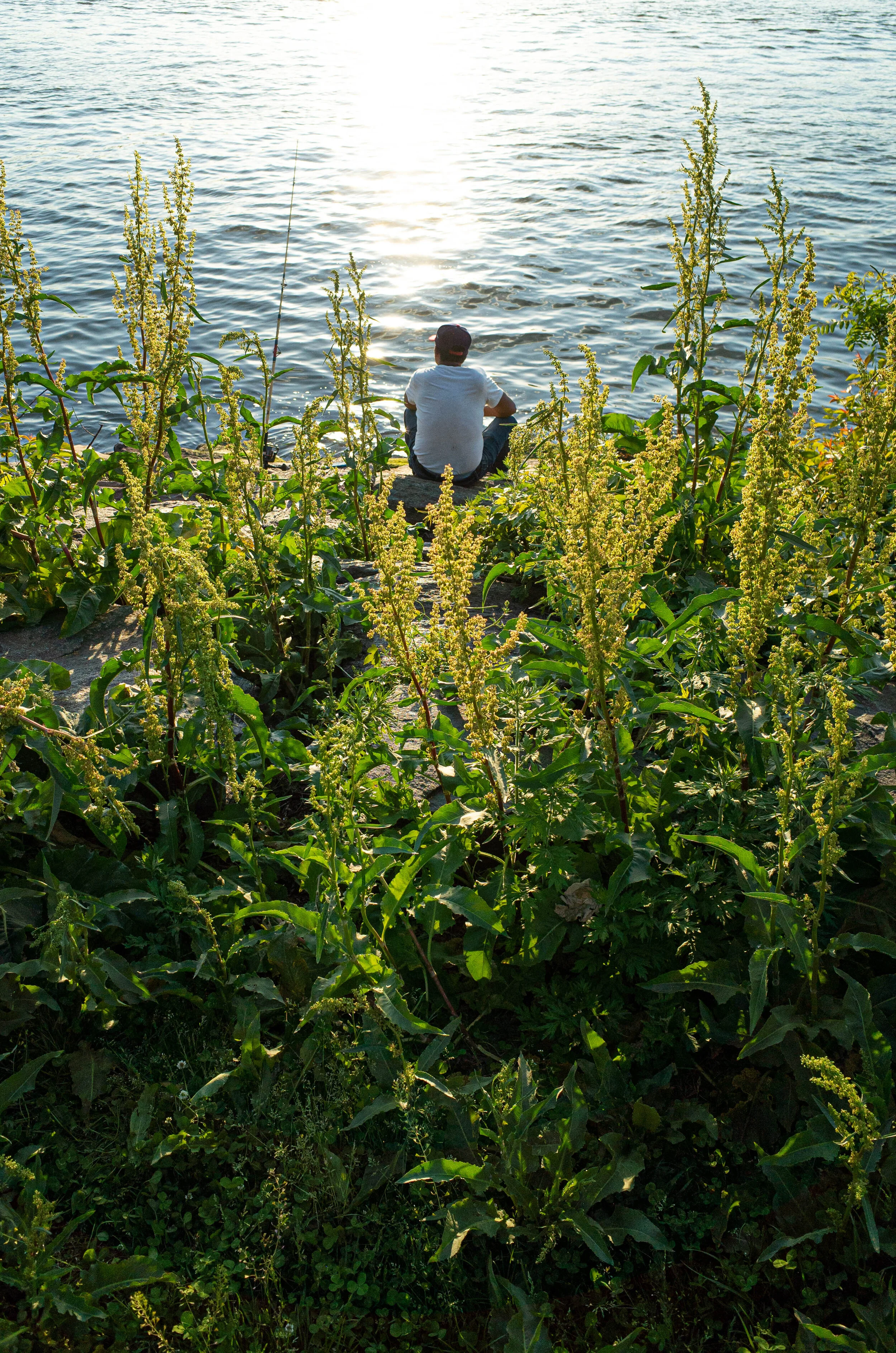 5_17_21_riverwalk-8.jpg