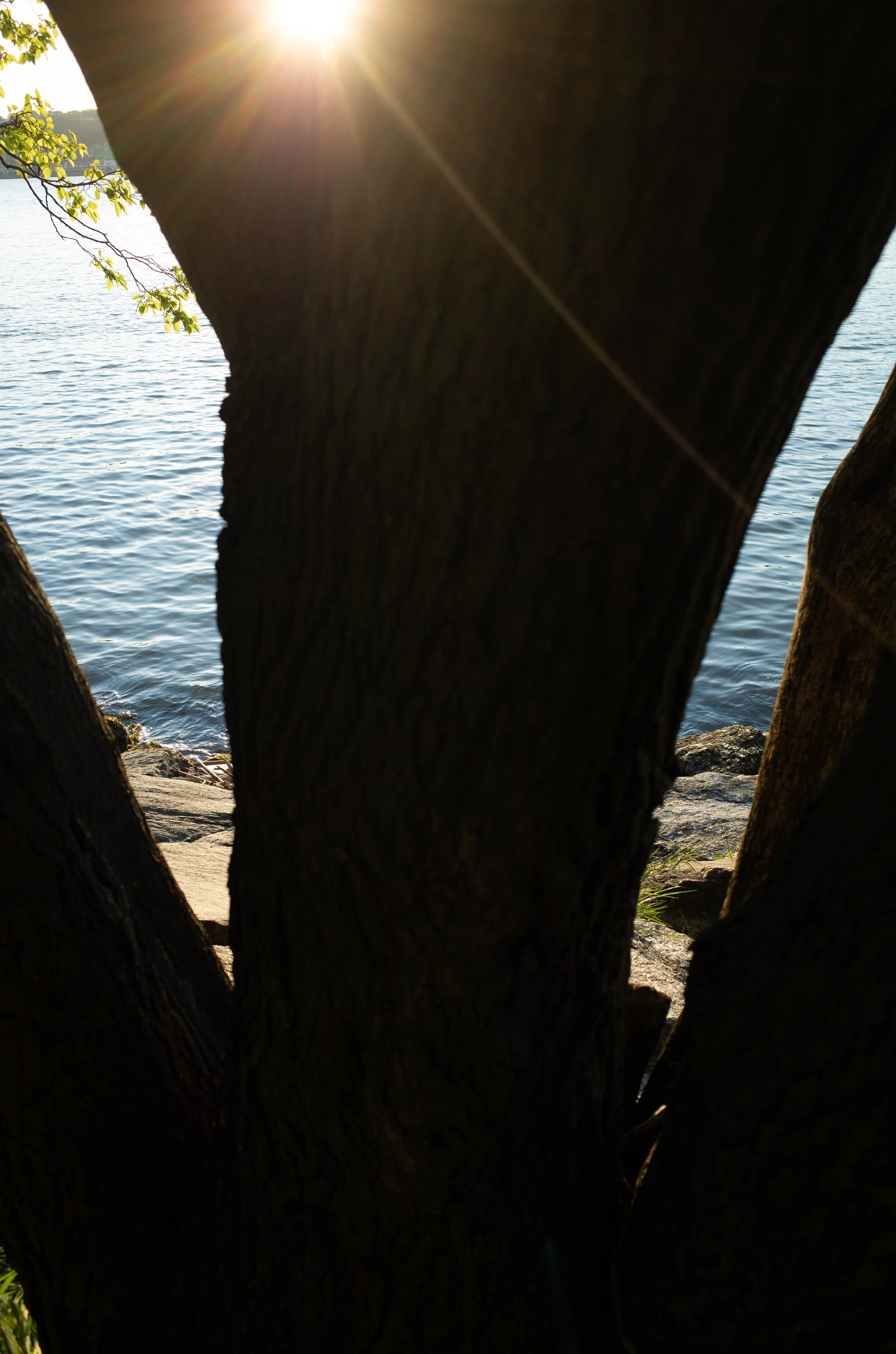 5_17_21_riverwalk-28.jpg