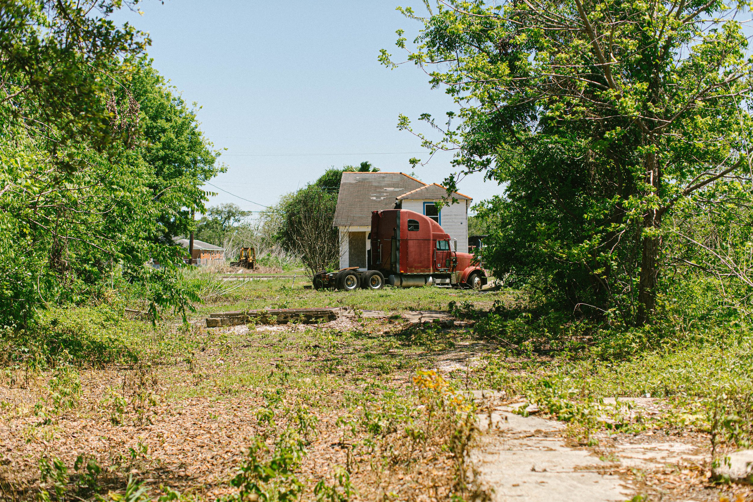 rising_color-7.jpg