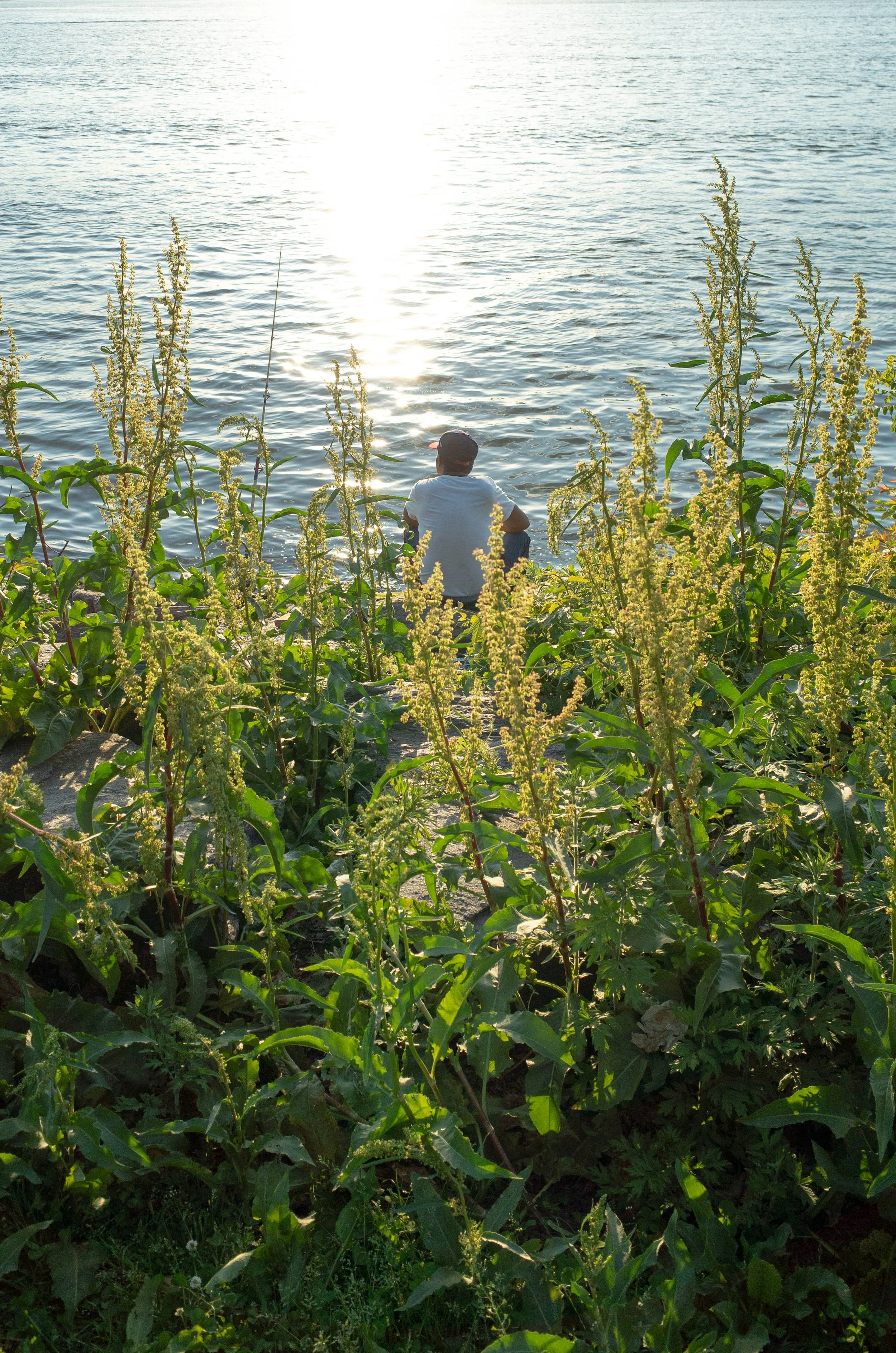 river-3.jpg