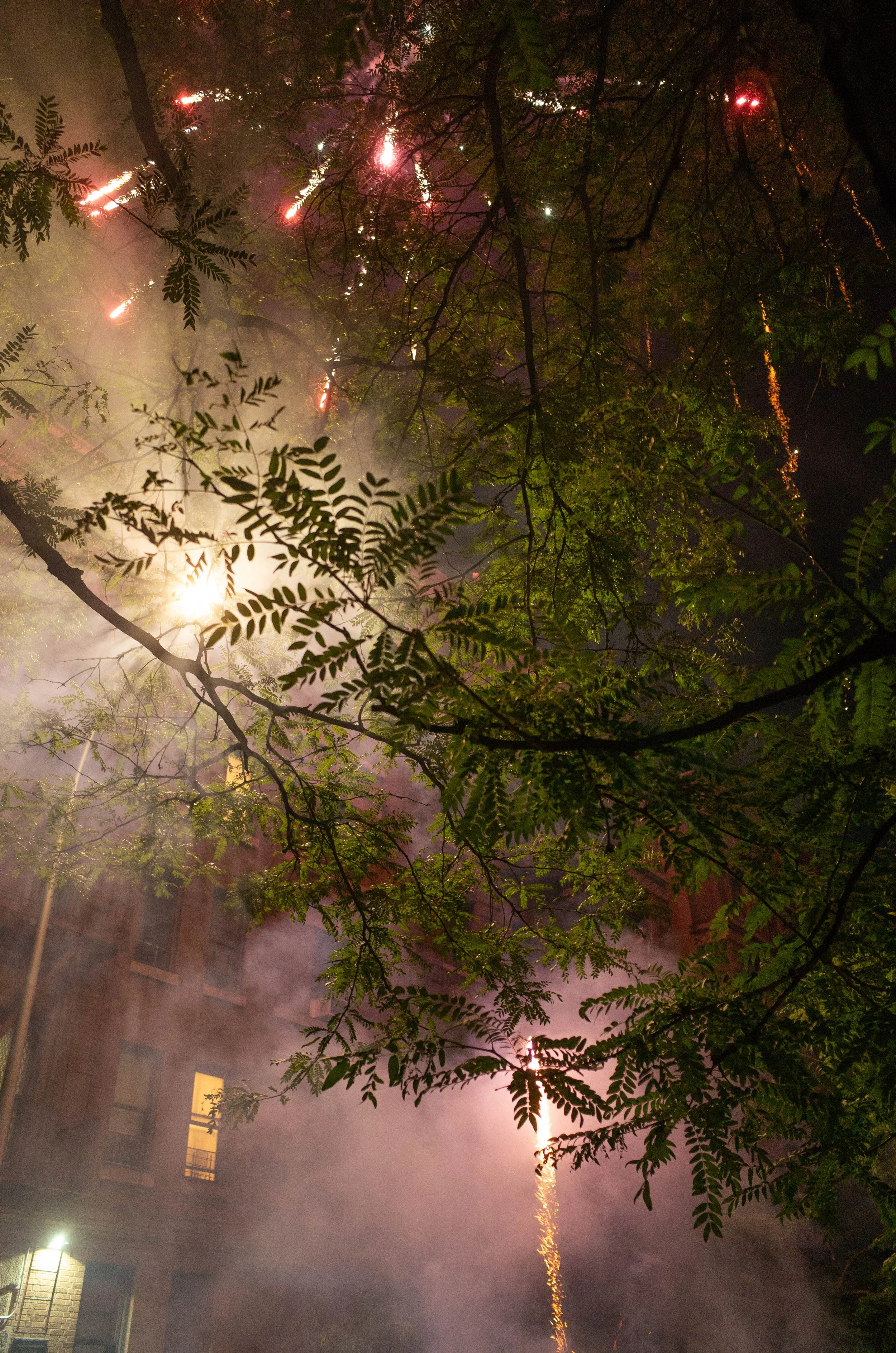 July_4_Hamilton_Heights-50.jpg