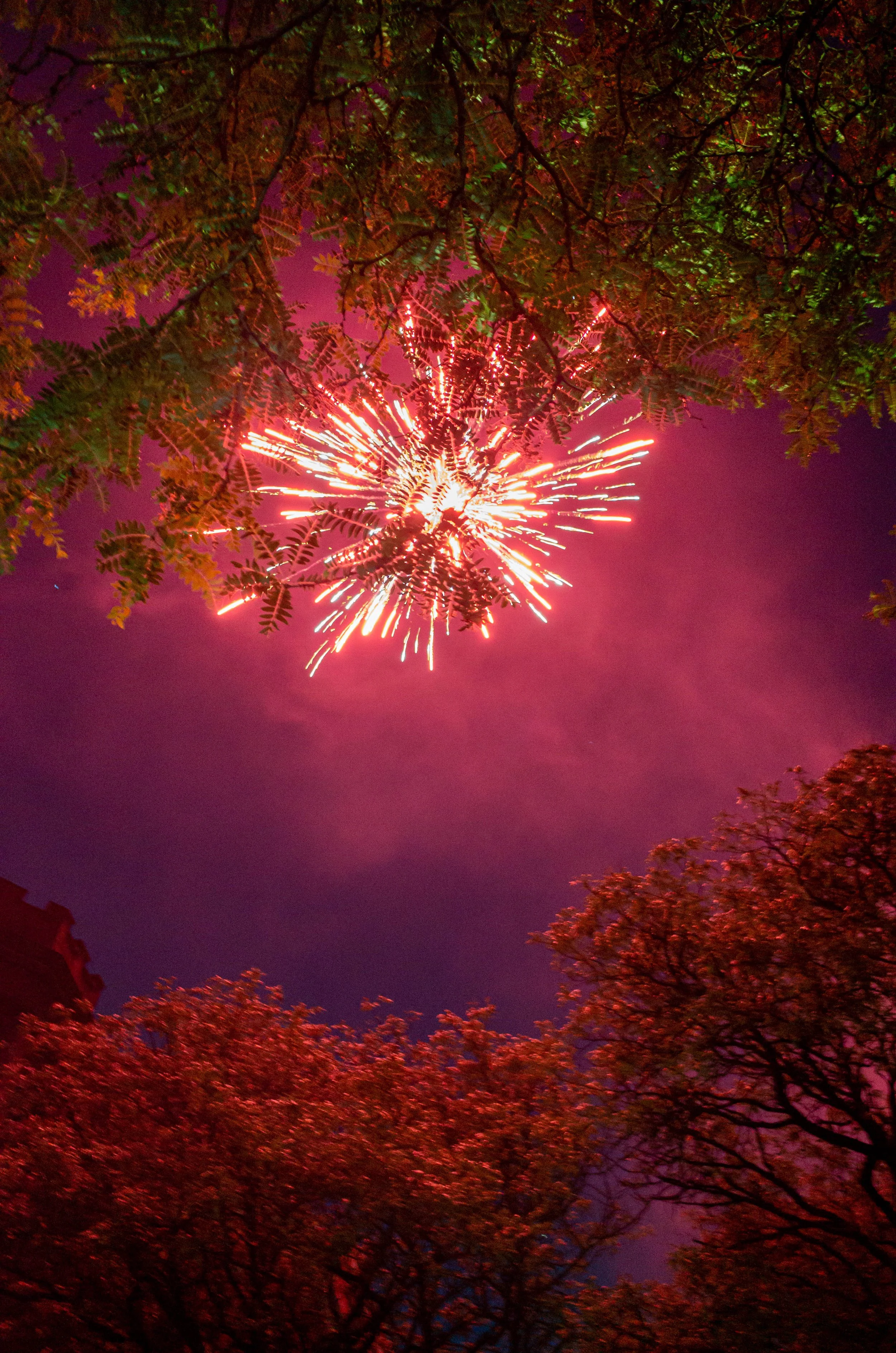 July_4_Hamilton_Heights-12.jpg