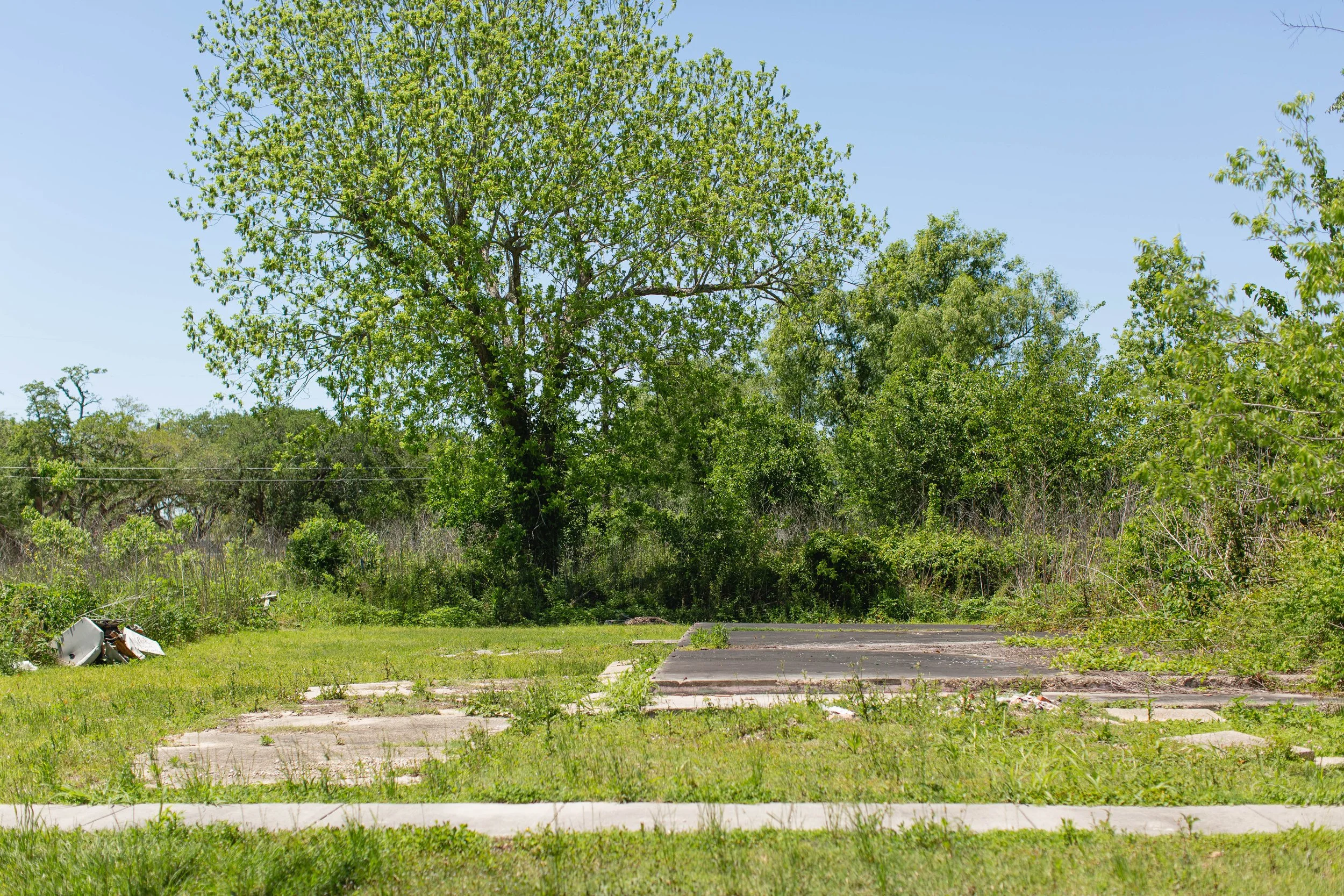 nola_yard-2.jpg