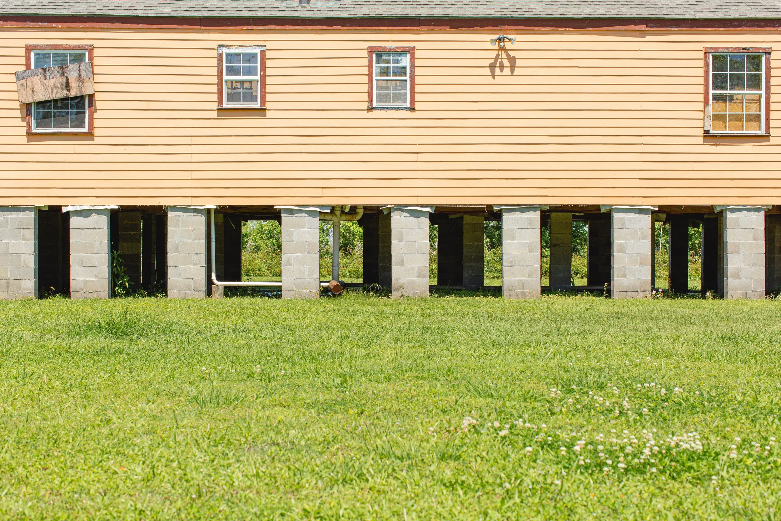 nola_yard-5.jpg
