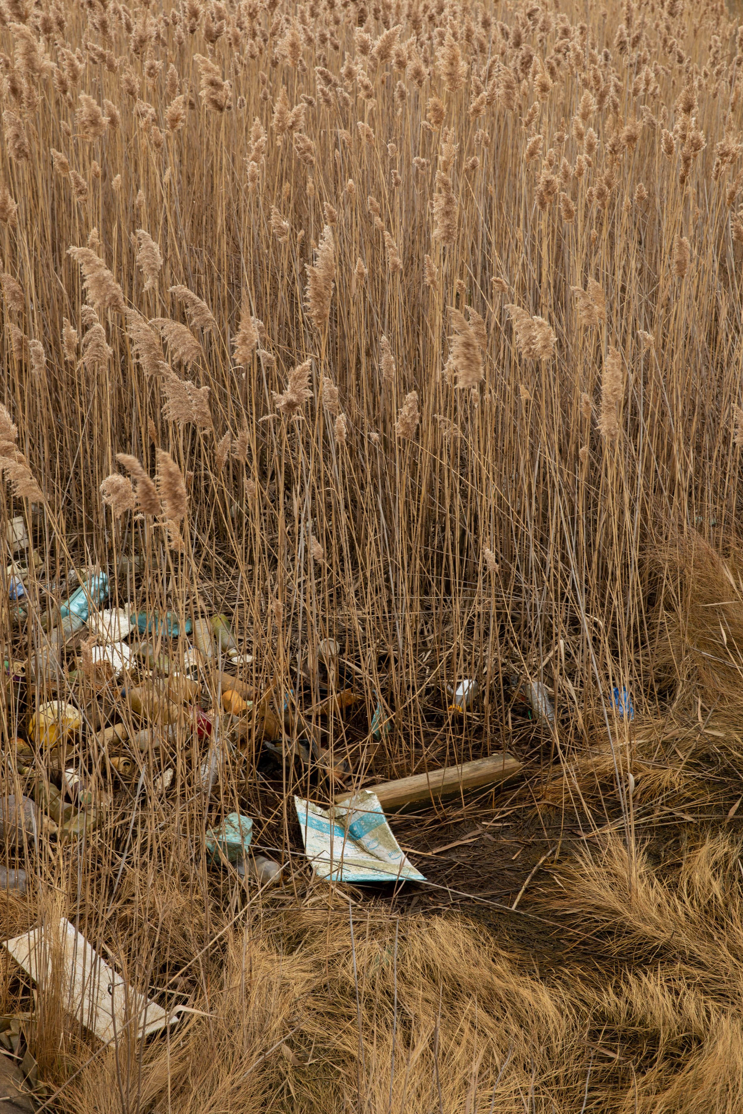 1_19_22_Hamilton_Beach-19.jpg