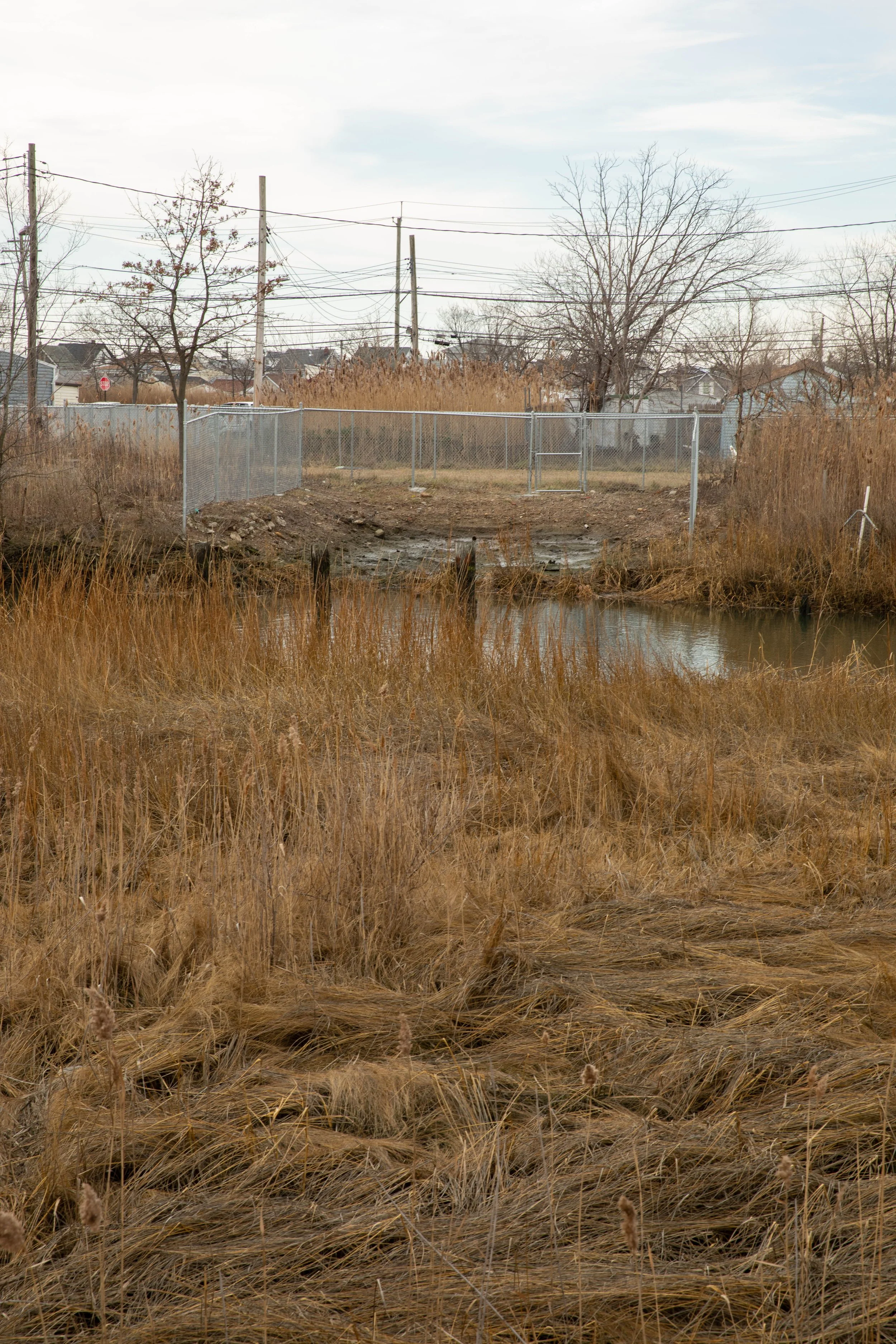 1_19_22_Hamilton_Beach-23.jpg