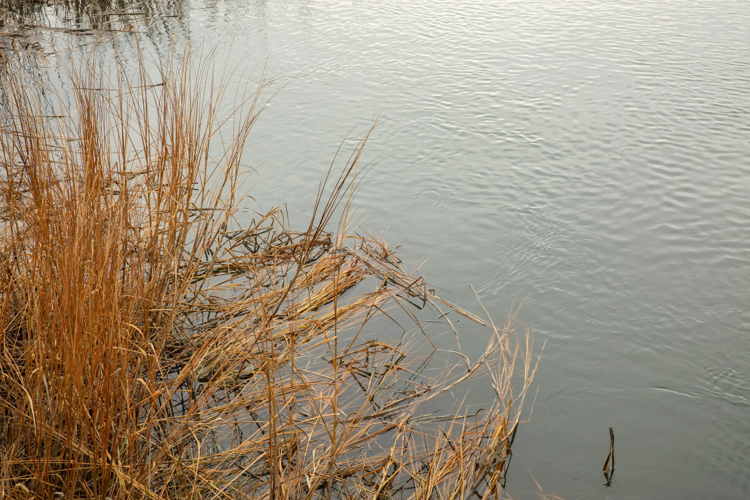 1_19_22_Hamilton_Beach-31.jpg
