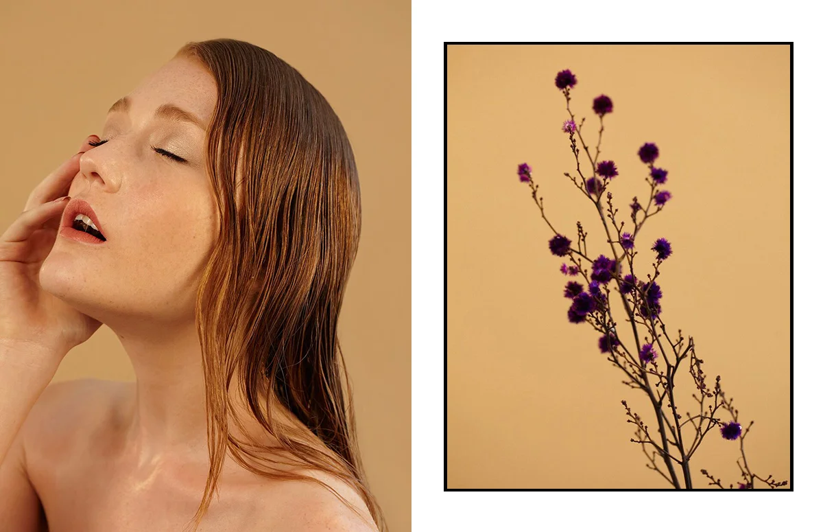 + 3 Wildflower.jpg