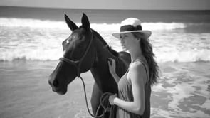 MARC SHAP - CINEMATOGRAPHERS REEL 2015