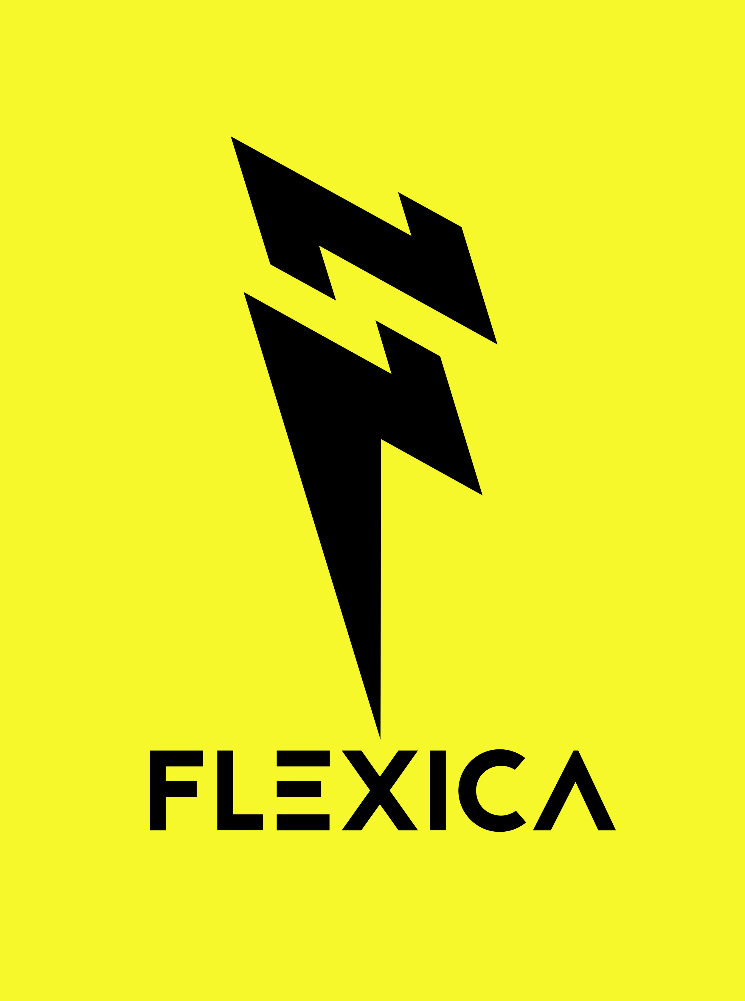 Flexica Flash 5.png