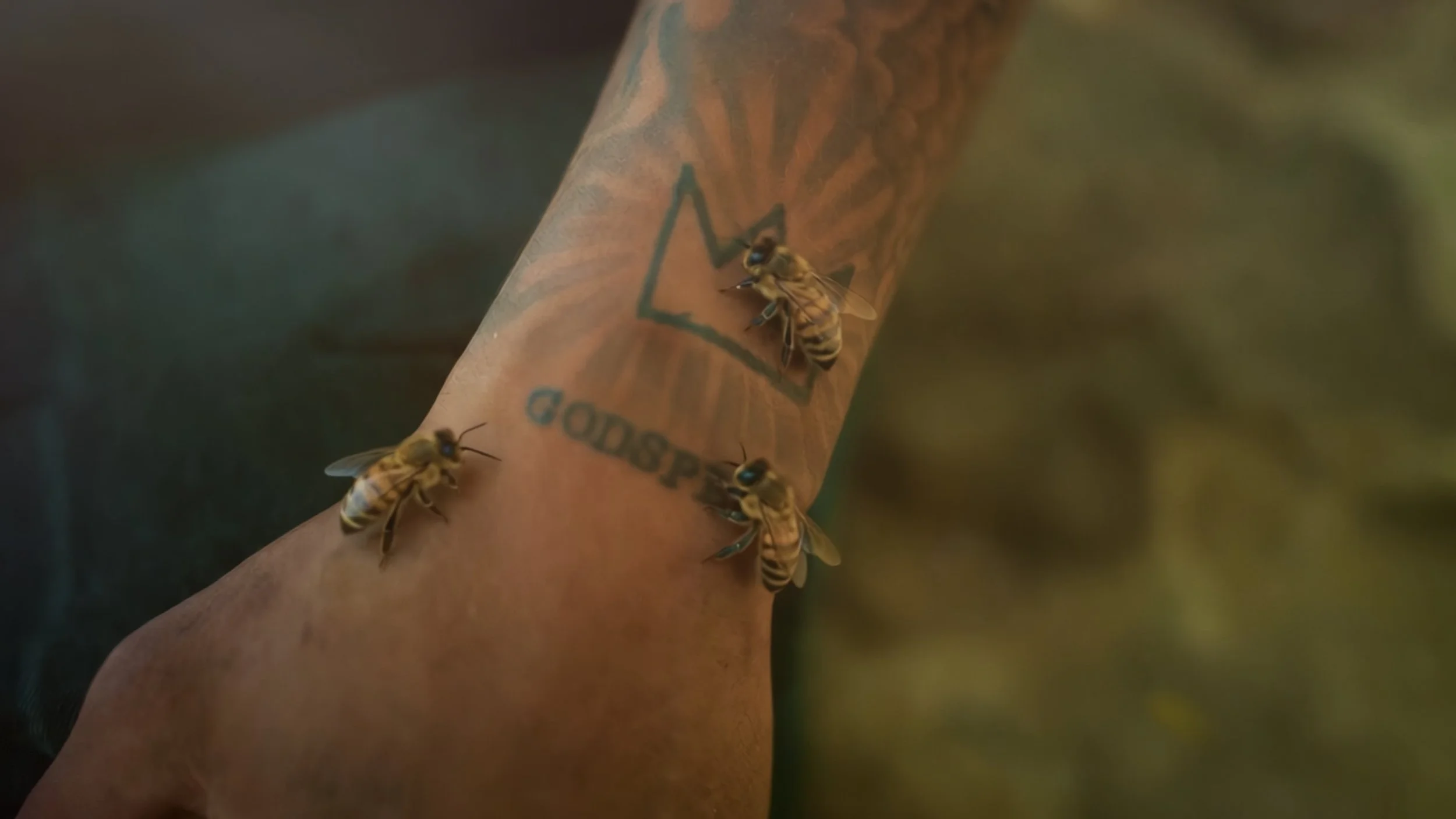 Timeline 25_01_00_35_19.jpg