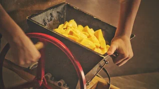 Mango02.jpg
